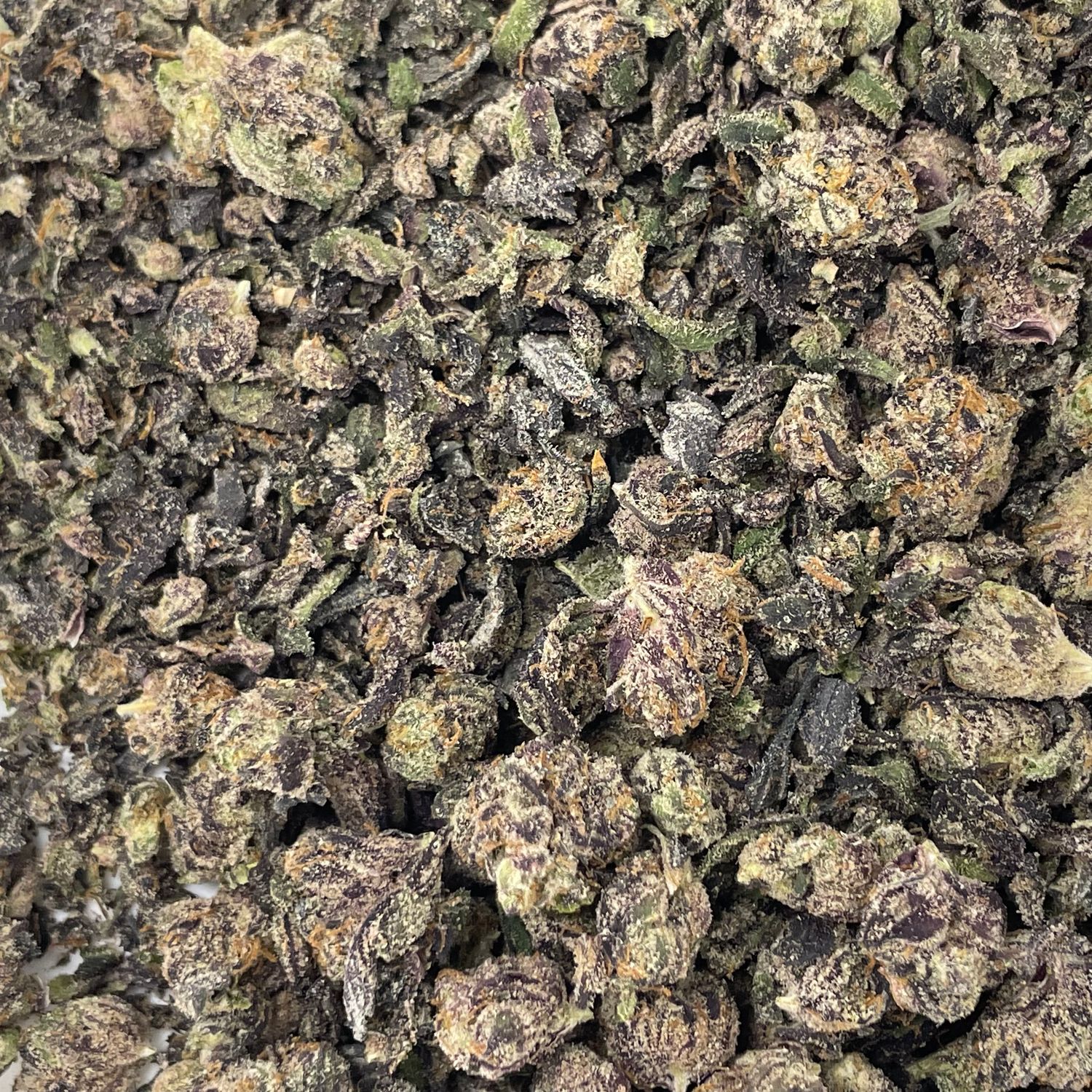 Any Day Shake (7G)