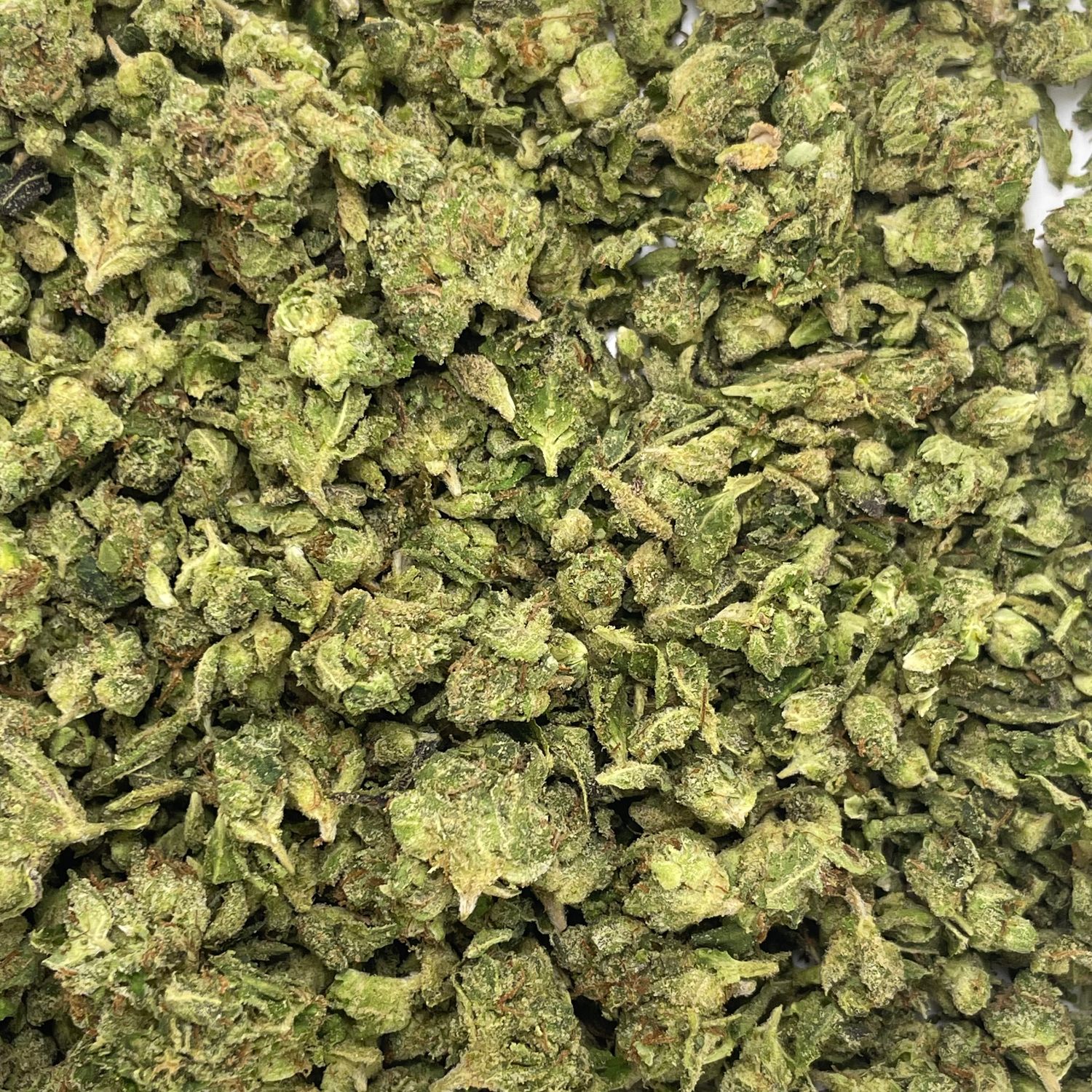 Black Runtz Shake (7G)