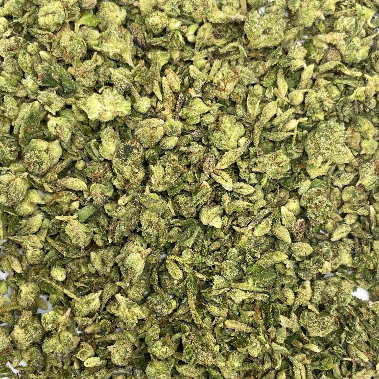 Guava Berries Shake (7G)