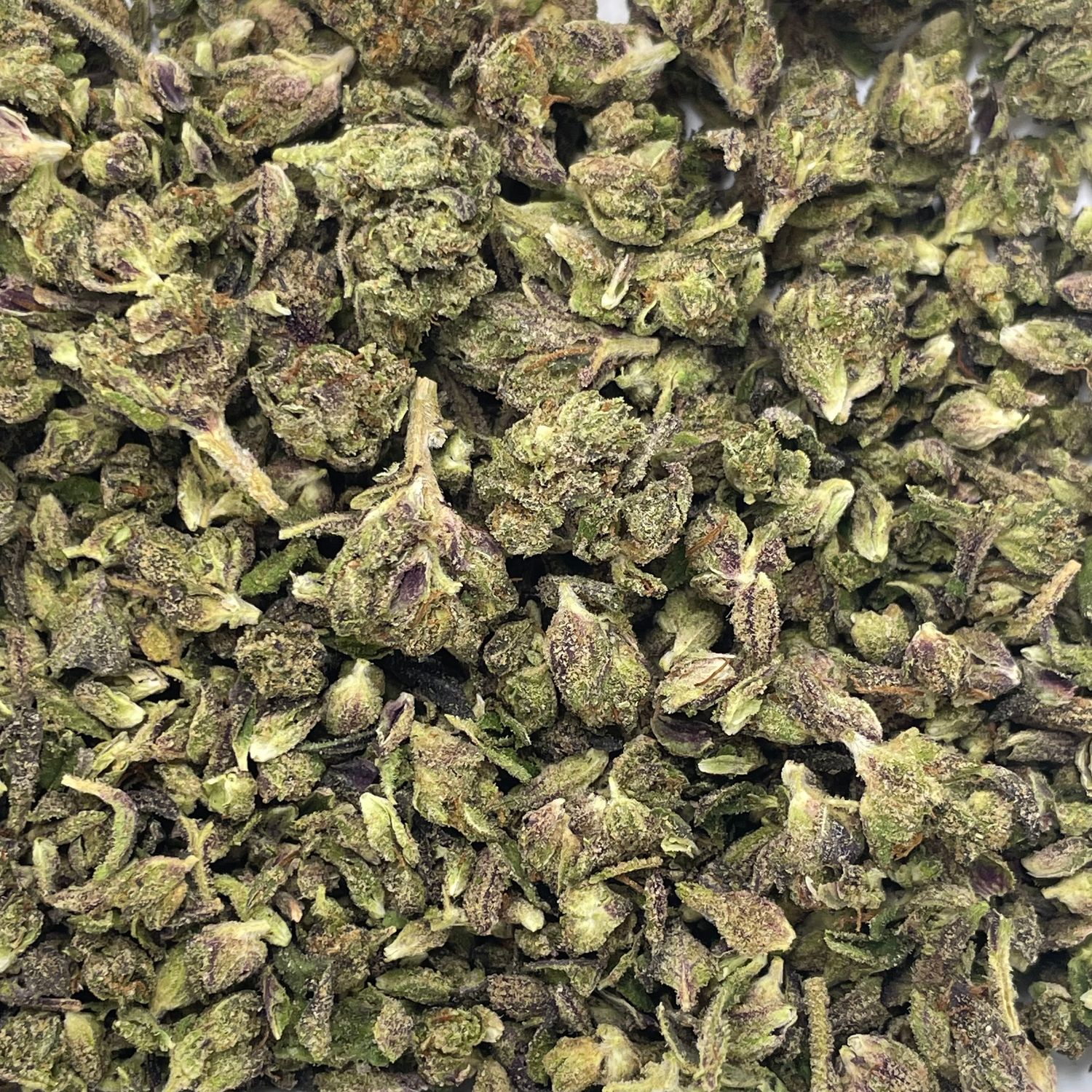 Illuminati Shake (7G)