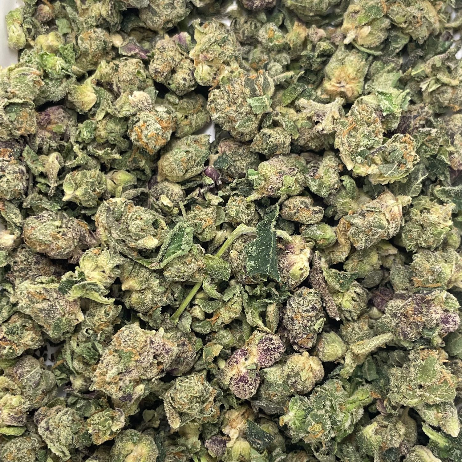 Granny Candy Shake (7G)