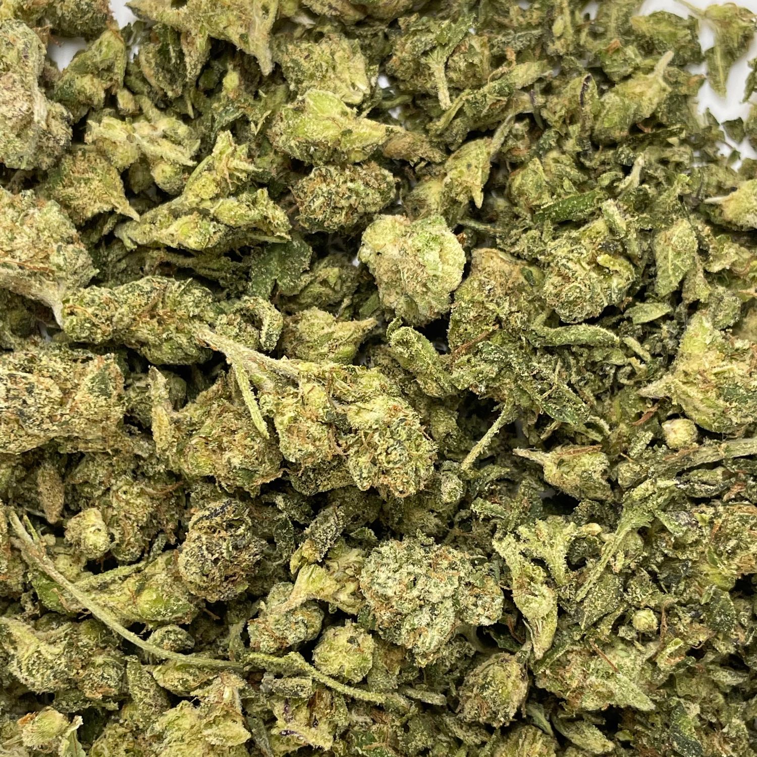 Frosted Cherry Bomb Shake (7G )
