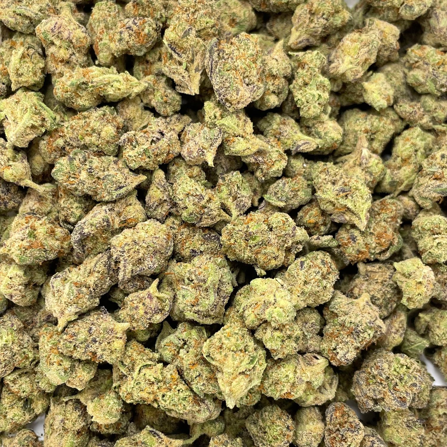 El Chivo Smalls (28G)