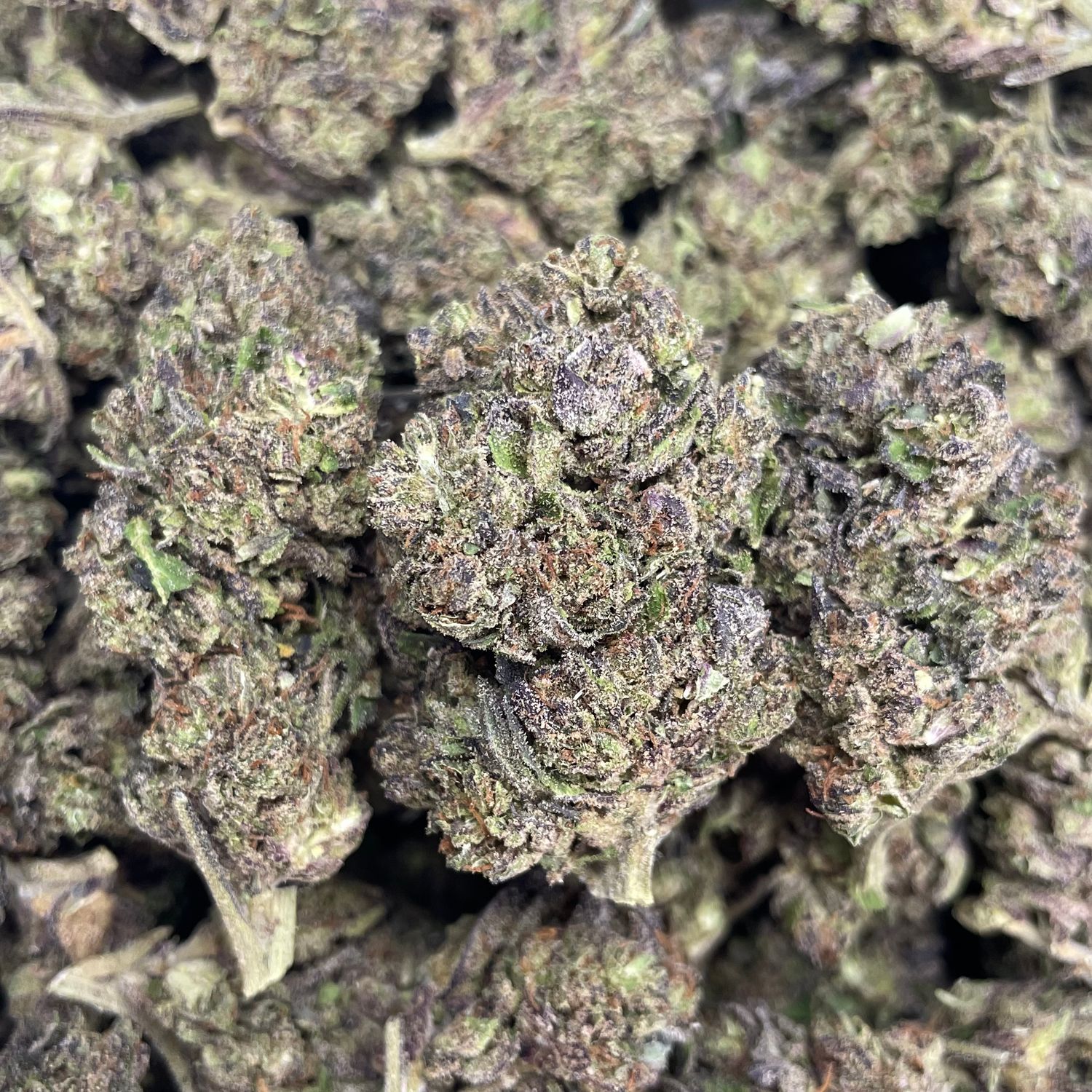 Runtz (3.5G)