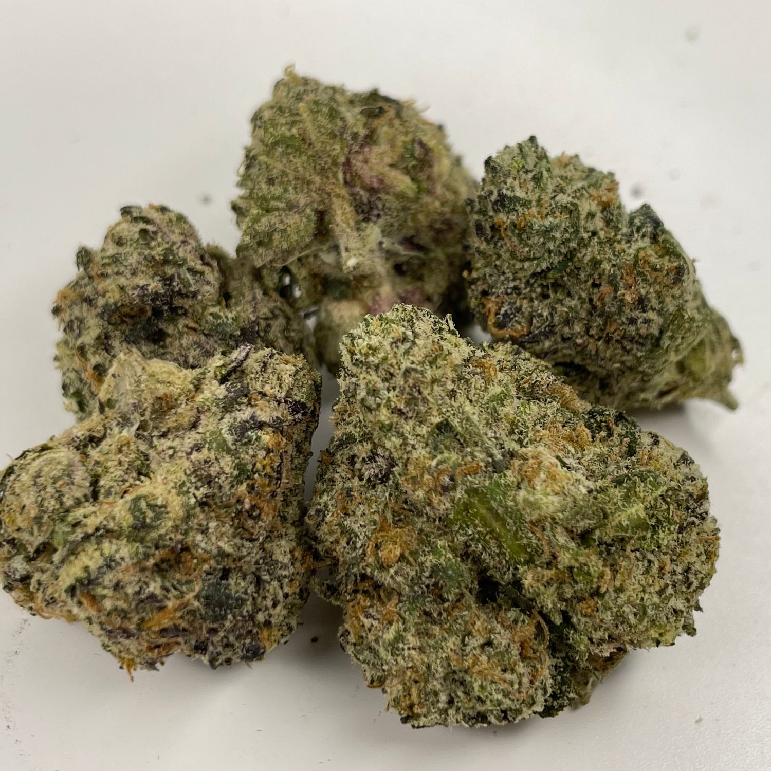 Oakland Runtz - Ravioli (3.5G) - Exotic