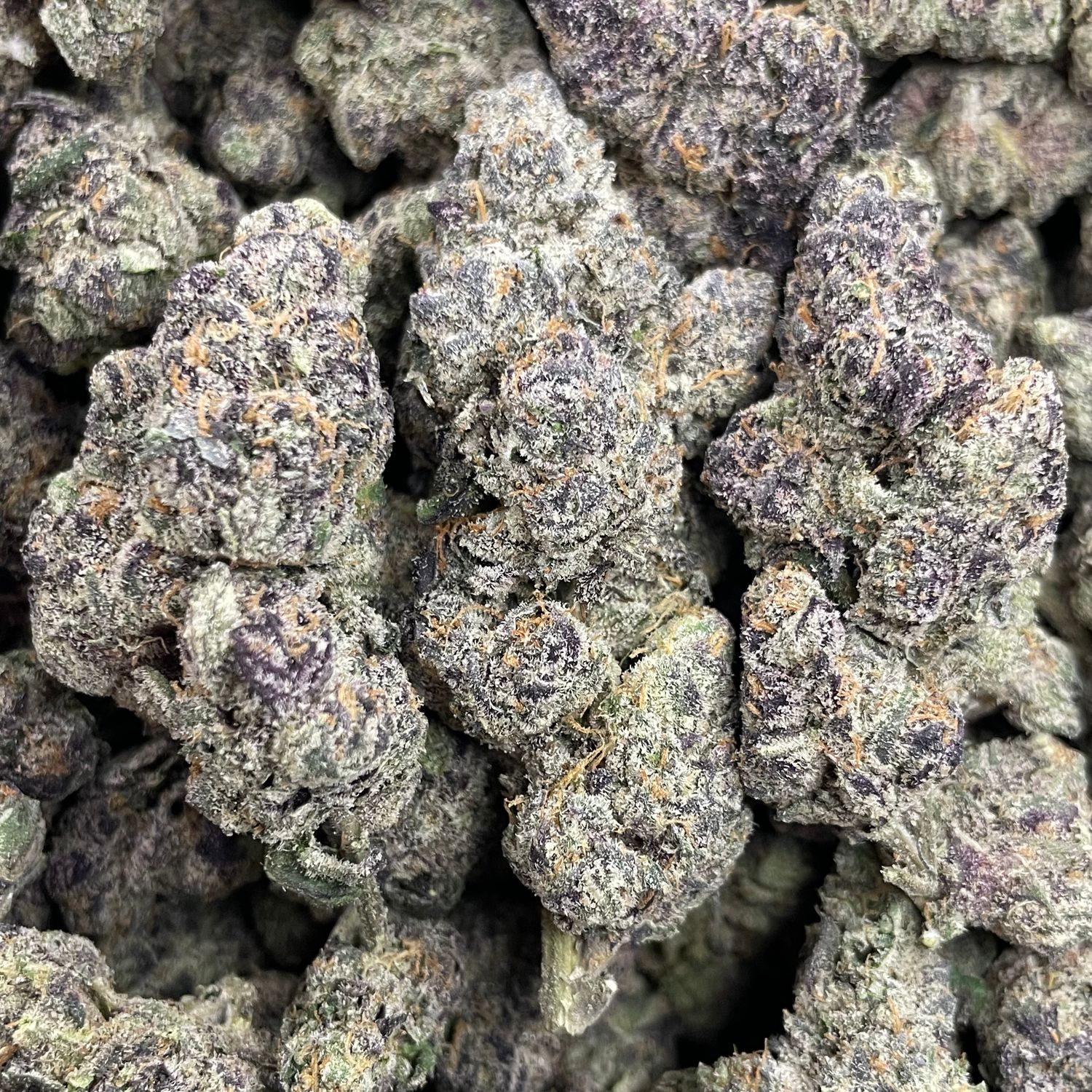 Los Muertos - Exotic Halloween Drop - (7G Jar)