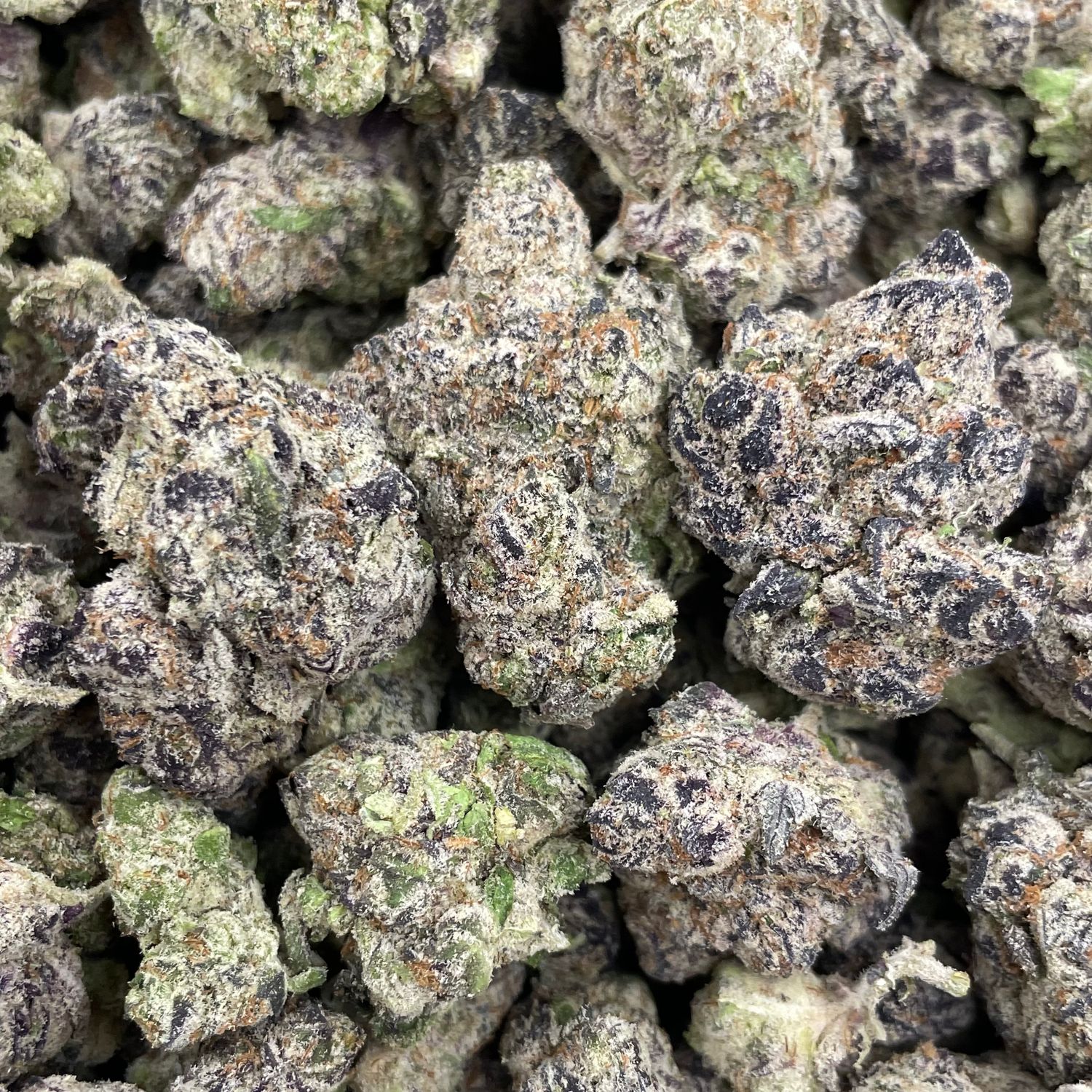 Mac Stomper - Exotic Halloween Drop - (7G Jar)