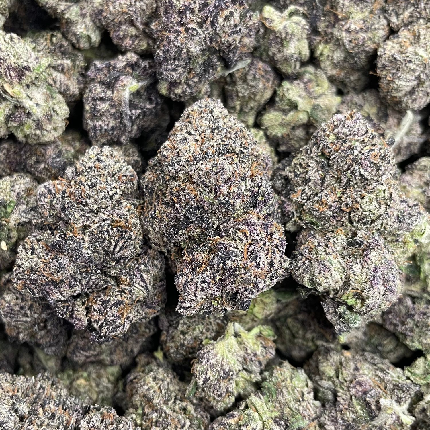 Googusher - Exotic Halloween Drop - (7G Jar)