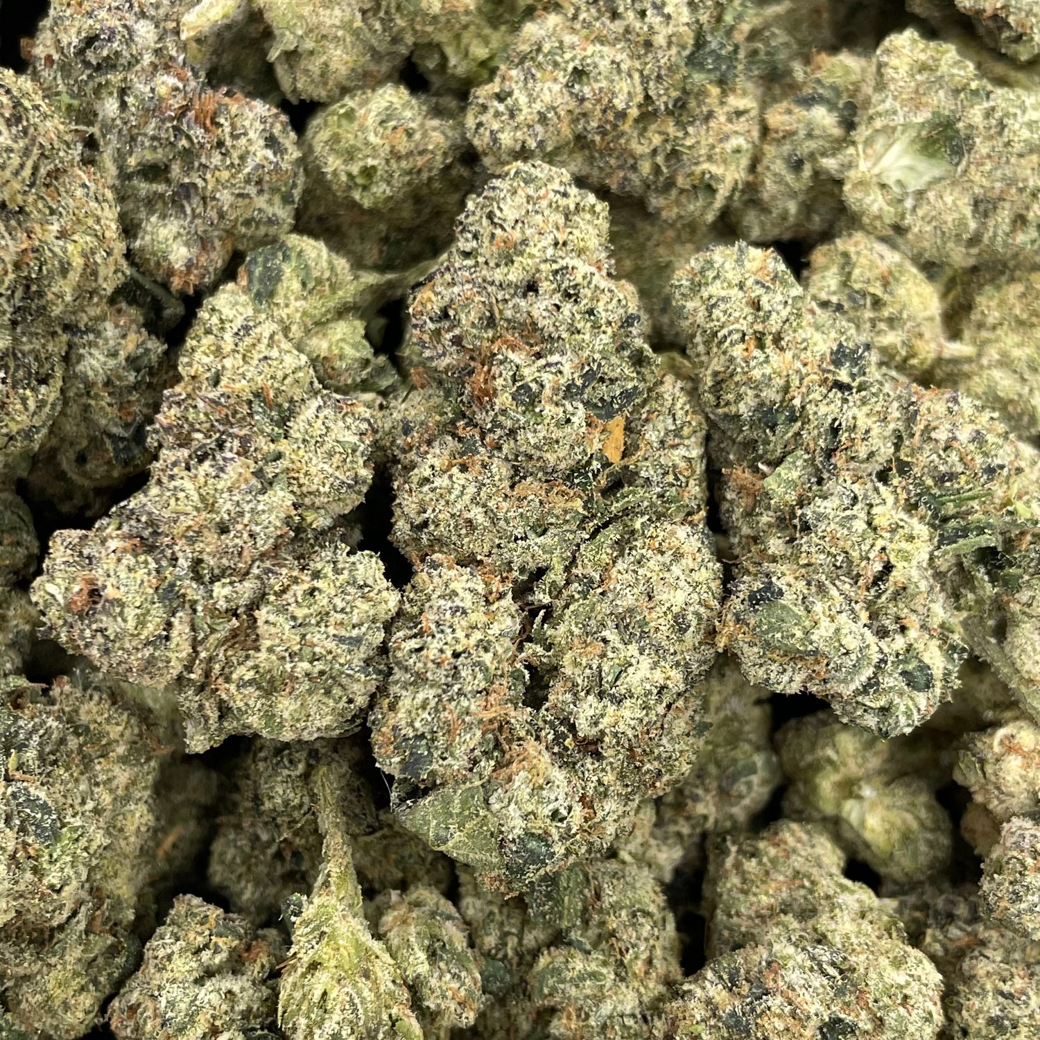 Garlic Breath - Exotic Halloween Drop - (7G Jar)