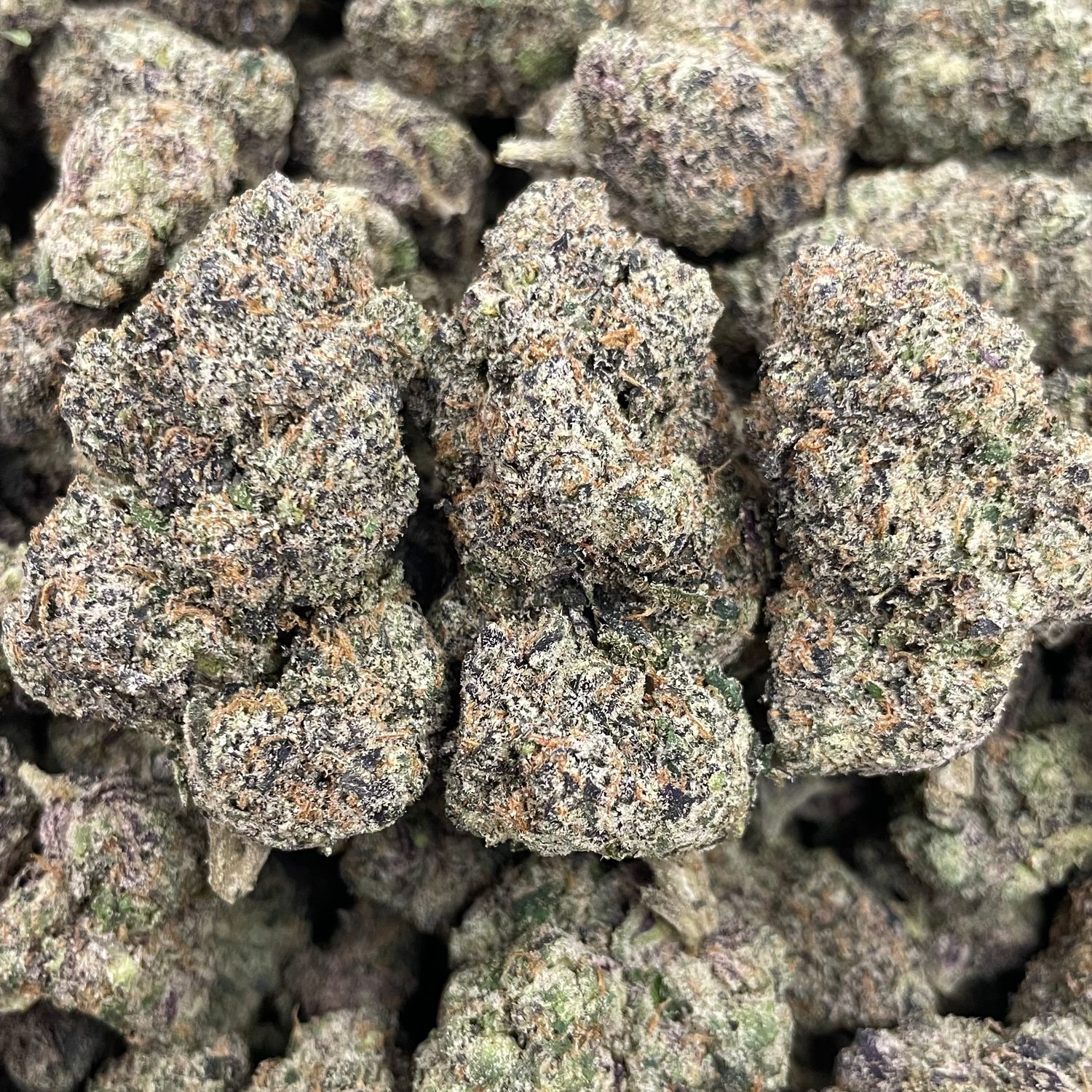 Zombud - Exotic Halloween Drop - (7G Jar)