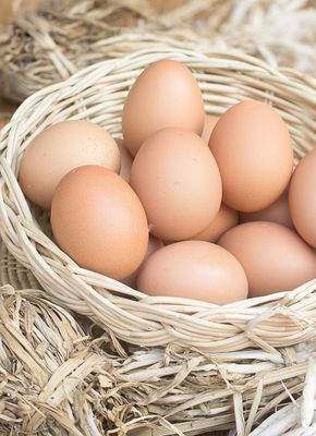 Free Range Chicken Eggs Free Range Chicken Eggs