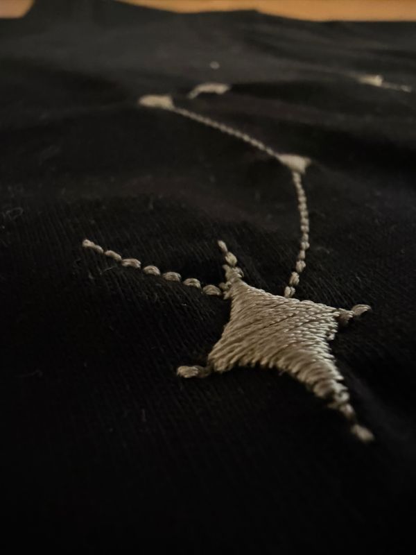 Koszulka z haftem LEW ♌