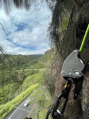 Industrial Descenders