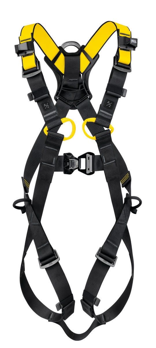 NEWTON INT HARNESS  2