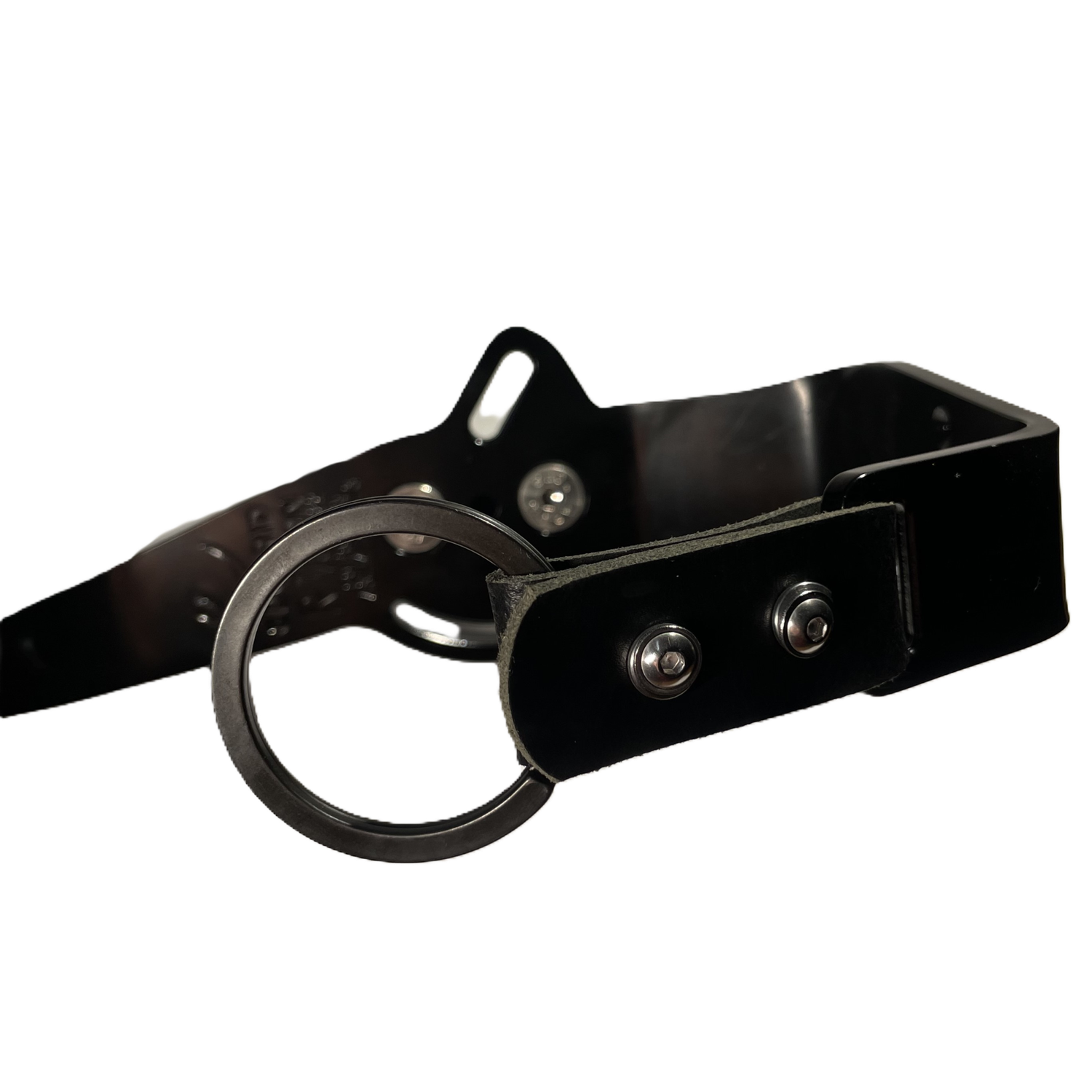 Talon adaptors for Spikepods