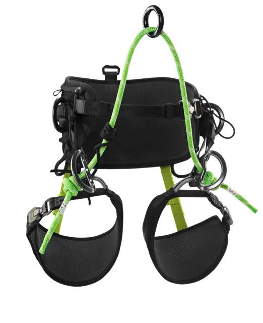 TreeRex II, Size: size 0