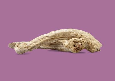 Vital Essentials Duck Necks
