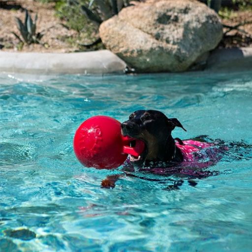 Jolly Pet Tug n Toss Dog Toy  10   Orange