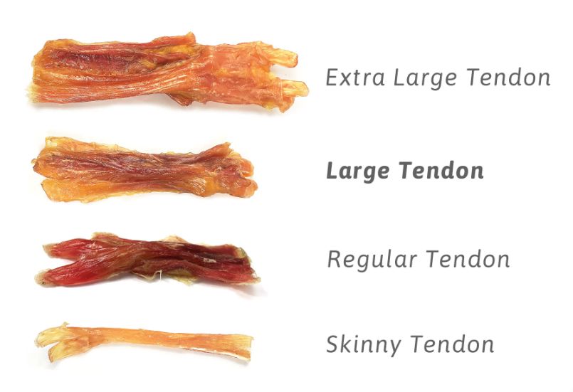 Beef Tendon Large