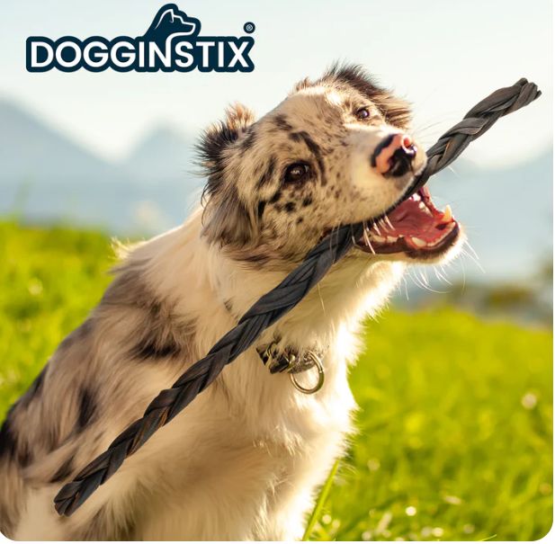 Braided Lamb Collagen 24&quot;