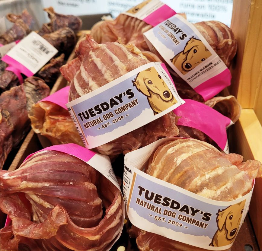 Tuesdays Trachea Ball