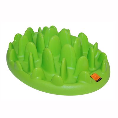 GREEN Interactive Feeder