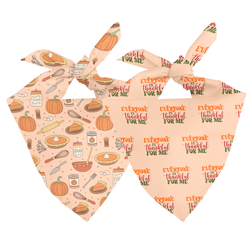 Everyone is Thankful Dog Bandana, Size: Large