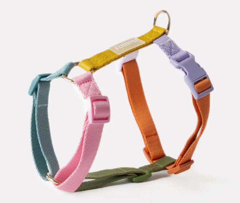 Strap Dog Harness, Colour: Rainbow, Size: Large