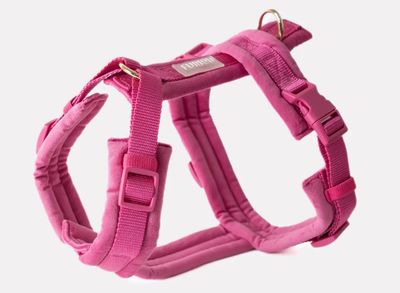Velvet Dog Harness
