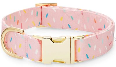 Sprinkles Dog Collar