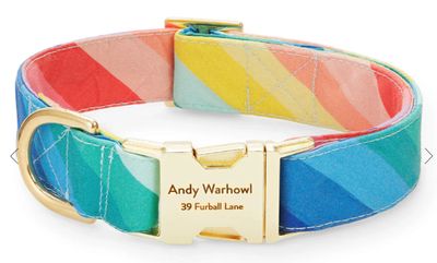 Over the Rainbow Dog Collar