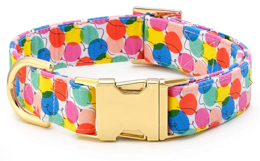 Pup, Pup, and Away Birthday Dog Collar, Size: X-Small