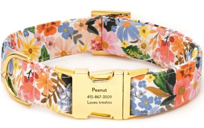 Rifle Paper Co. x TFD Marguerite Dog Collar