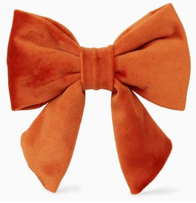 Pumpkin Velvet Lady Dog Bow
