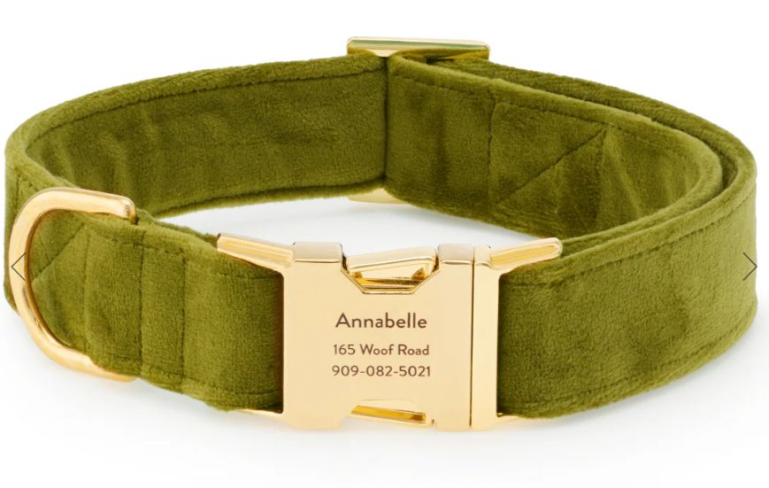 Olive Velvet Dog Collar, Size: Large