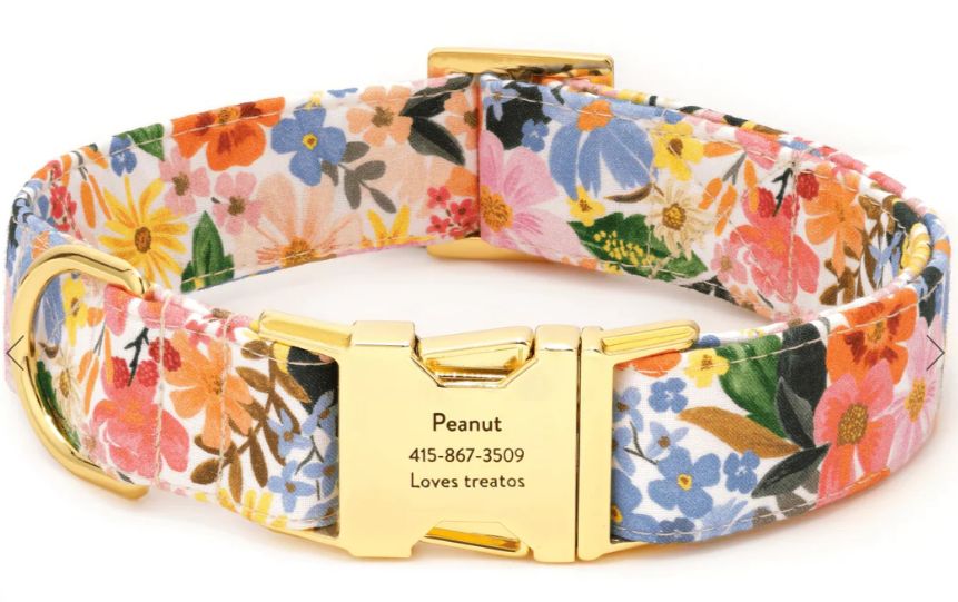 Rifle Paper Co. x TFD Marguerite Dog Collar, Size: X-Small
