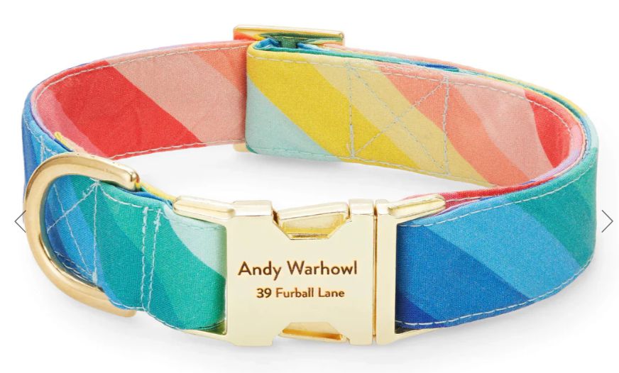 Over the Rainbow Dog Collar, Size: Large