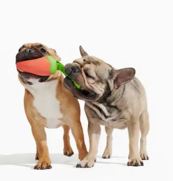 Bark Super Chewer Habanero Pupper Dog Chew Toy M/L