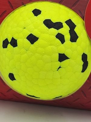 035585498683 Reflex Ball Dog Toy - Large