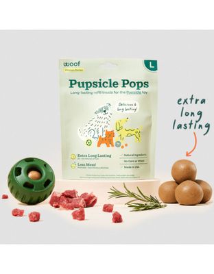 95171780 12 oz Pupsicle Pops Chicken Refill - Extra Large