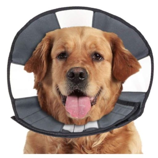 ZenPet Zen Cone: Veterinary Recommended Soft Recovery Collar