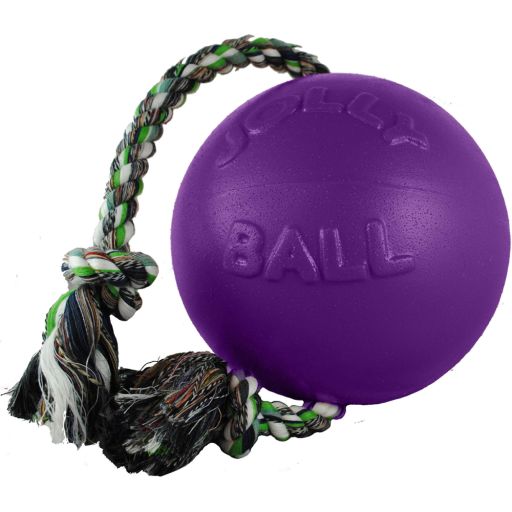 Jolly Pets Romp-n-Roll Dog Toy  8   Purple