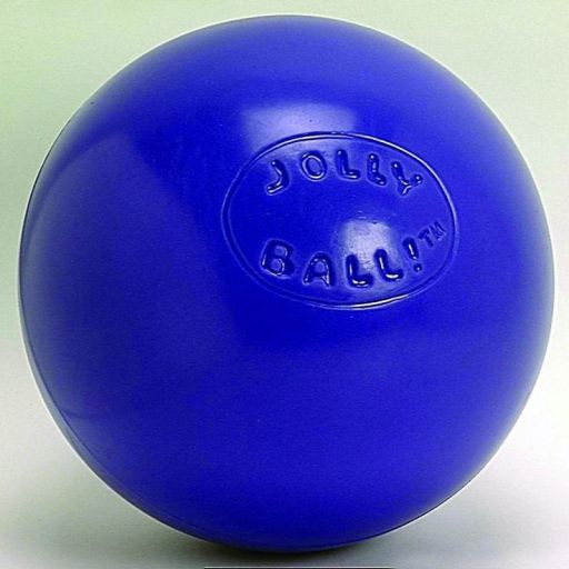 Jolly Pets Push-N-Play Jolly Ball