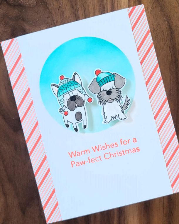 Warm wishes for a Paw-fect Christmas Greeting Card