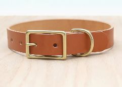 Tan Leather Dog Collar Belt Buckle Style, Size: 15-19"