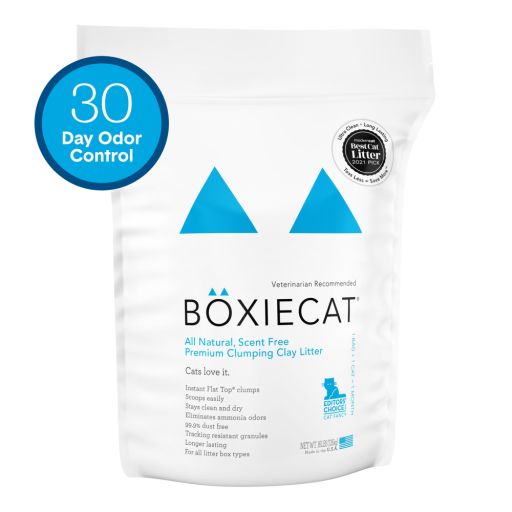 Boxiecat All Natural  Scent Free  Premium Clumping Clay Litter  16 lb.