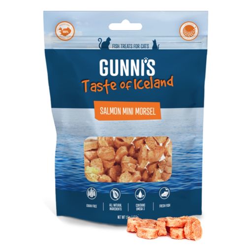 850043701651 1.5 oz Cat Mini Morsel Salmon Treats