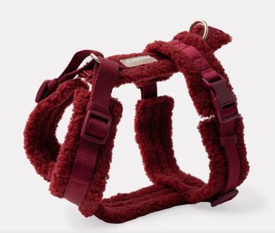 'Bordeaux' - Sherpa Dog Harness