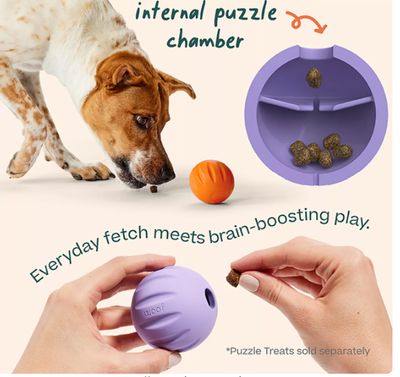 Flyball - Woof