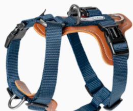 Dream Harness